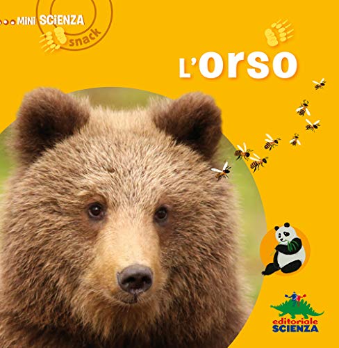 Stock image for L'orso for sale by medimops