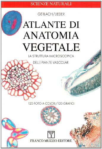 Beispielbild fr Atlante di anatomia vegetale. La struttura microscopica delle piante vascolari zum Verkauf von medimops