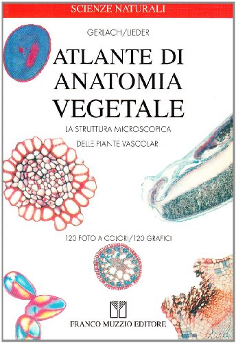 Stock image for Atlante di anatomia vegetale. La struttura microscopica delle piante vascolari for sale by medimops