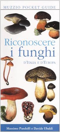 Imagen de archivo de Riconoscere i funghi d'Italia e d'Europa a la venta por libreriauniversitaria.it