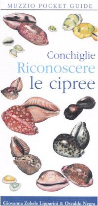 Imagen de archivo de Conchiglie. Riconoscere le cipree a la venta por Apeiron Book Service