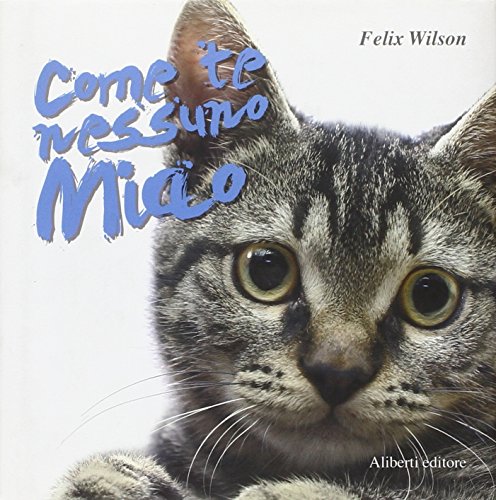 Come Te Nessuno Miao - Wilson, Felix
