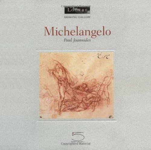 Stock image for Michelangelo (Drawing Gallery series) for sale by Hippo Books