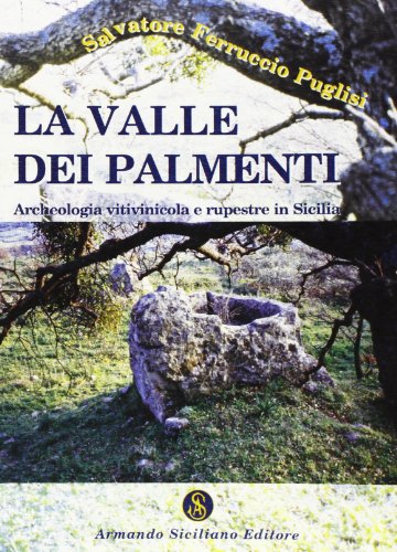 9788874425204: La valle dei palmenti. Archeologia vitinicola e rupestre in Sicilia