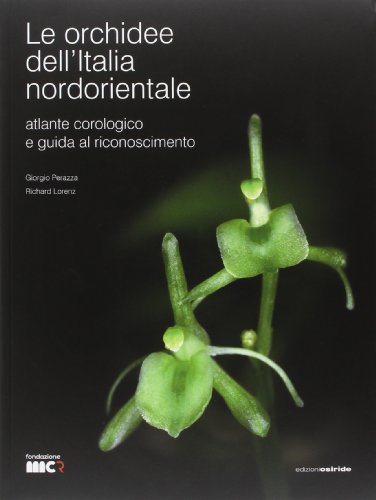 9788874981922: Le orchidee dell'Italia nordorientale. Atlante corologico e guida al riconoscimento
