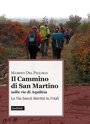 Stock image for IL CAMMINO DI SAN MARTINO (Italian) for sale by Brook Bookstore