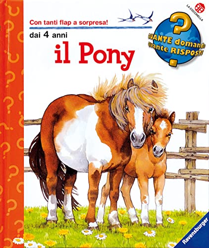 Beispielbild fr Il pony zum Verkauf von medimops