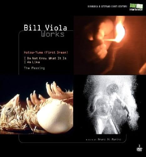 9788875840983: bill viola works [Italia] [DVD]