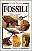 Beispielbild fr I fossili (Guide tascabili) zum Verkauf von medimops