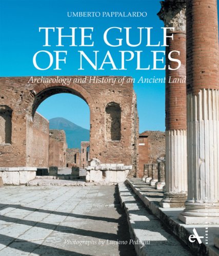 9788877433169: The Gulf of Naples. Archaeology and history of an ancient land [Lingua Inglese]