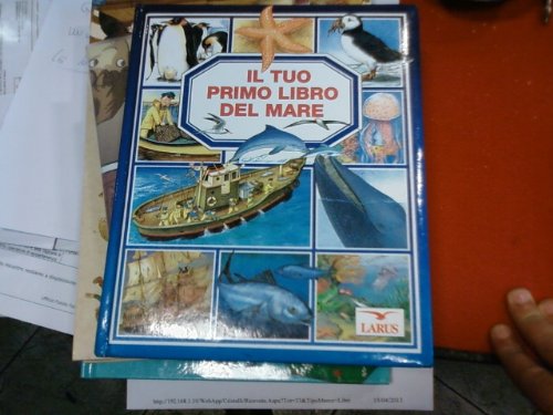 Beispielbild fr Il tuo primo libro del mare zum Verkauf von medimops