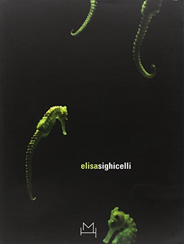 Elisa Sighicelli (English and Italian Edition)