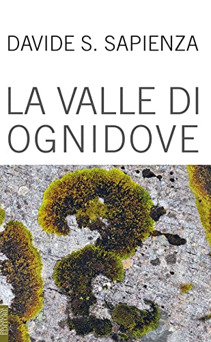 Beispielbild fr La valle di ognidove zum Verkauf von Brook Bookstore