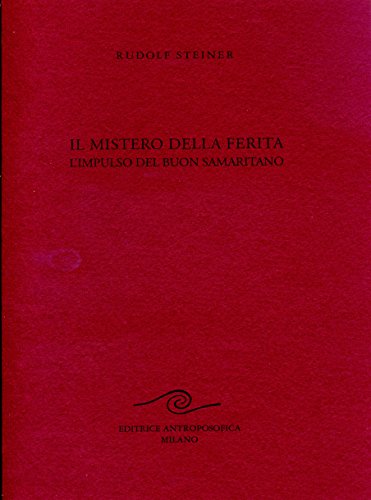 9788877872920: Il mistero della ferita