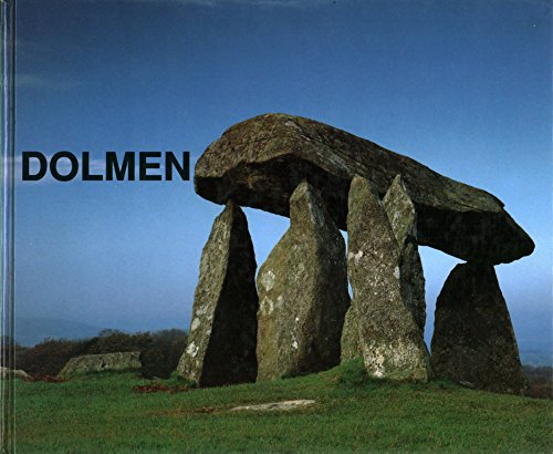 9788878133020: Dolmen. Ediz. illustrata