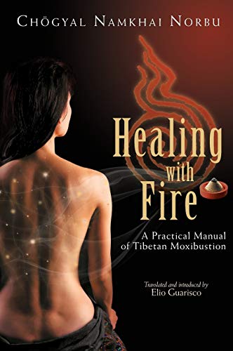 Stock image for Healing with Fire for sale by Revaluation Books