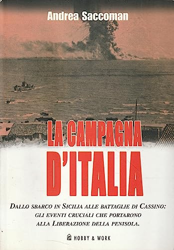 9788878516021: La campagna d'Italia. Dallo sbarco in Sicilia alle battaglie di Cassino: gli eventi cruciali che portarono alla liberazione della penisola (Saggi storici)