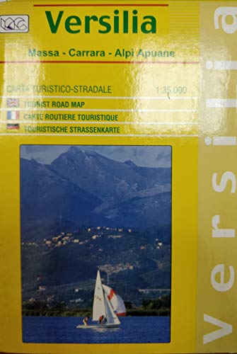 Stock image for Versilia 1:35.000 for sale by medimops