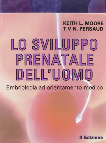 Stock image for Lo sviluppo prenatale dell'uomo. Embriologia ad orienatmento clinico for sale by medimops