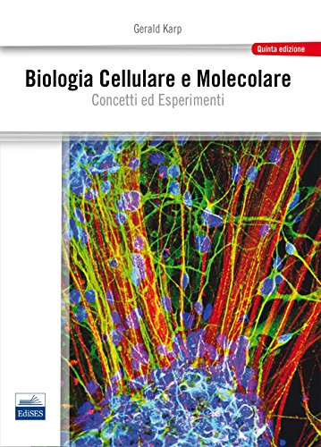 Beispielbild fr Biologia cellulare e molecolare. Concetti e esperimenti zum Verkauf von medimops