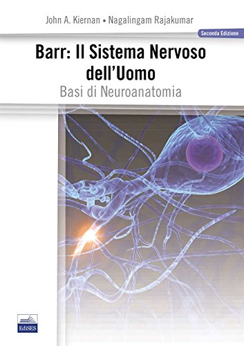 9788879598767: Barr. Il sistema nervoso dell'uomo. Basi di neuroanatomia