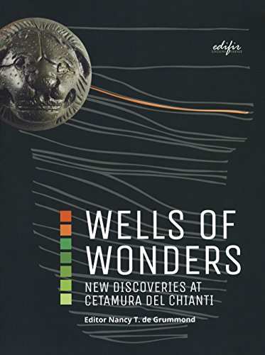 Stock image for Wells of wonders. New discoveries at Cetamura for sale by Brook Bookstore