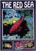 Beispielbild fr The Red Sea (Nature & Environment S.) zum Verkauf von WorldofBooks