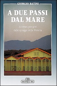 9788880293439: A due passi dal mare. Itinerari per gite dalle spiagge della Versilia (Vita e costume)