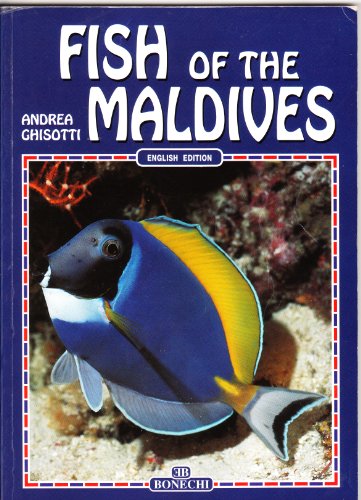 9788880296577: Pesci delle Maldive. Ediz. inglese