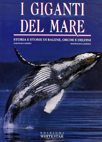 9788880952015: I giganti del mare. Storia e storie di balene, orche e delfini. Ediz. illustrata