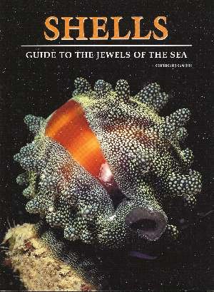 9788880954132: Shells: A Guide to the Jewels of the Sea