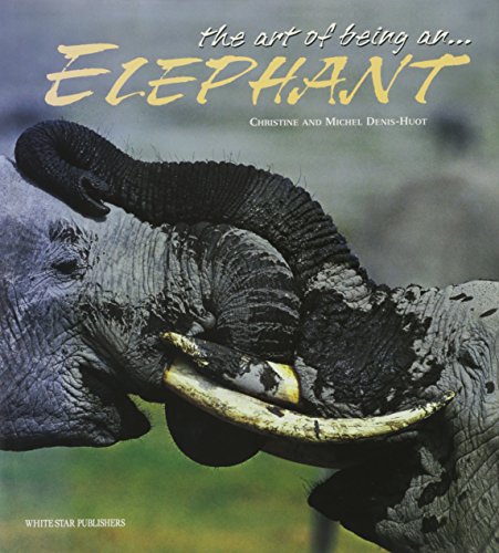9788880959359: The art of being an elephant. Ediz. illustrata (L' arte di essere)