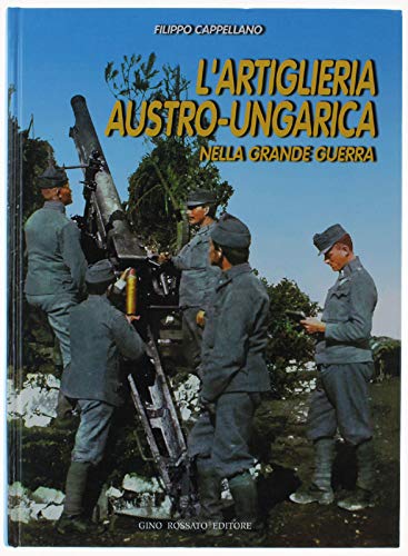 Stock image for L'artiglieria Austro-Ungarica nella grande guerra for sale by Boomer's Books
