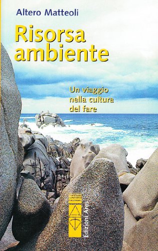 9788881554010: Risorsa ambiente (Sagitta)