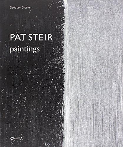9788881586486: Pat Steir: Paintings