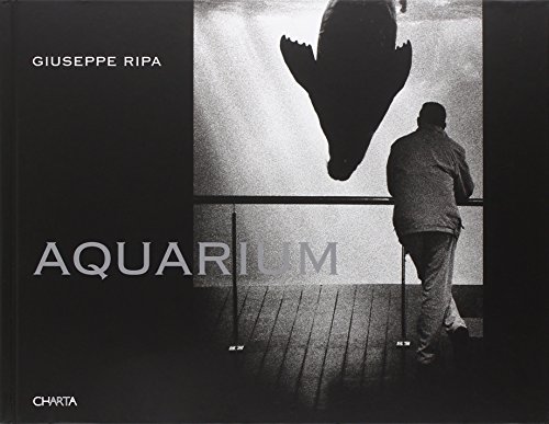 Stock image for Giuseppe Ripa: Aquarium for sale by Moe's Books