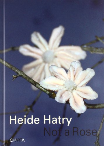9788881588435: Heide Hatry. Not a rose. Ediz. illustrata