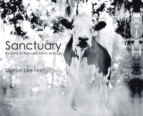Sharon Lee Hart: Sanctuary: Portraits of Rescued Farm Animals (9788881588459) by Jeffrey Moussaieff Masson; Gene Baur; Karen Davis