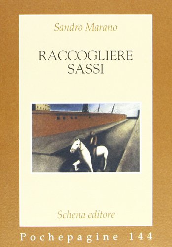 9788882295646: Raccogliere sassi