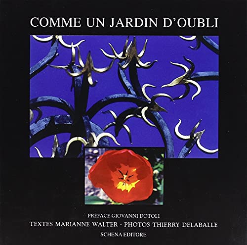 Beispielbild fr Comme un jardin d'oubli. Ediz. illustrata zum Verkauf von Ammareal