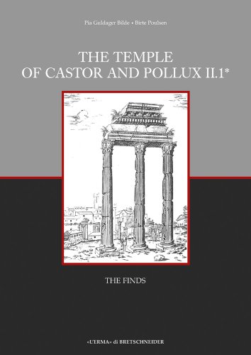 9788882654634: The temple of Castor and Pollux. The finds (Vol. 2) (Occasional papers of nordic inst. in Rome)