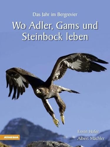 Beispielbild fr Wo Adler, Gams und Steinbock leben: Das Jahr im Bergrevier zum Verkauf von medimops