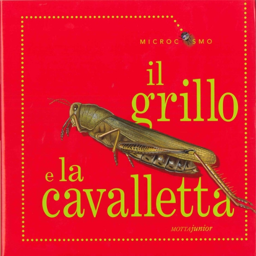 Beispielbild fr Il grillo e la cavalletta Morris, Ting; Sanzi, D. and Scarabelli, R. zum Verkauf von Librisline