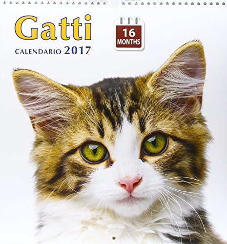 Imagen de archivo de Gatti. Calendario grande 16 mesi 2016 a la venta por libreriauniversitaria.it