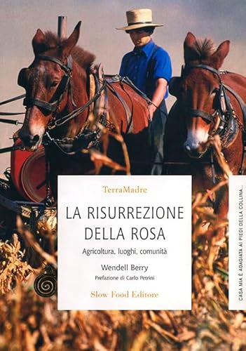 9788884991164: La risurrezione della rosa. Agricoltura, luoghi, comunit (Terra Madre)