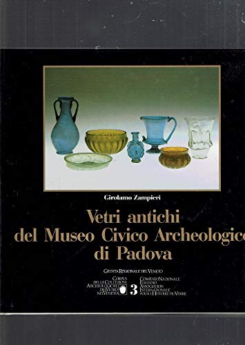 9788885673298: Vetri antichi del Museo civico archeologico di Padova