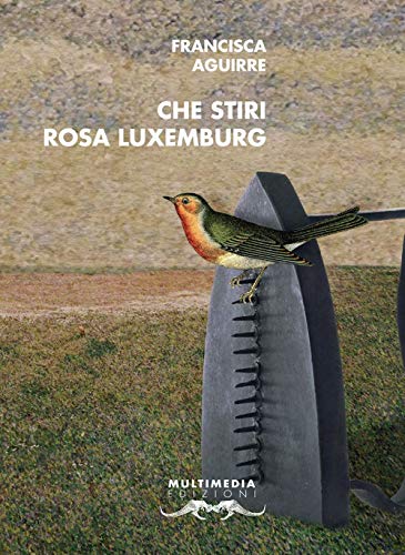 Imagen de archivo de Che stiri Rosa Luxemburg (Mediterranea) a la venta por libreriauniversitaria.it