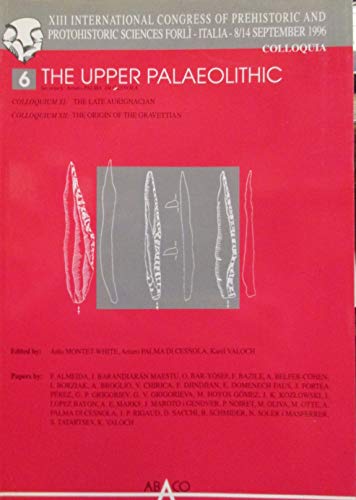 Stock image for XIII International Congress of Prehistoric and Protohistoric Sciences : Forli (Italia) 8-14 September 1996 / 6 The Upper Palaeolithic Colloquium XI The Late Aurignacian XII The Origin of the Gravettian for sale by Zubal-Books, Since 1961