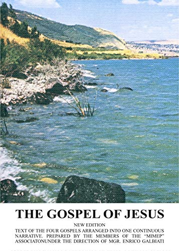 9788886833011: The gospel of Jesus