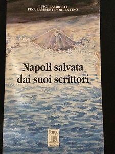 Beispielbild fr Napoli salvata dai suoi scrittori zum Verkauf von libreriauniversitaria.it